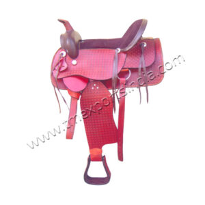 WS-012