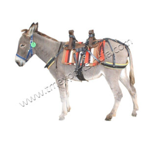 DK-001