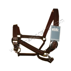 LH-002