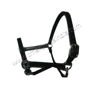 LH-006