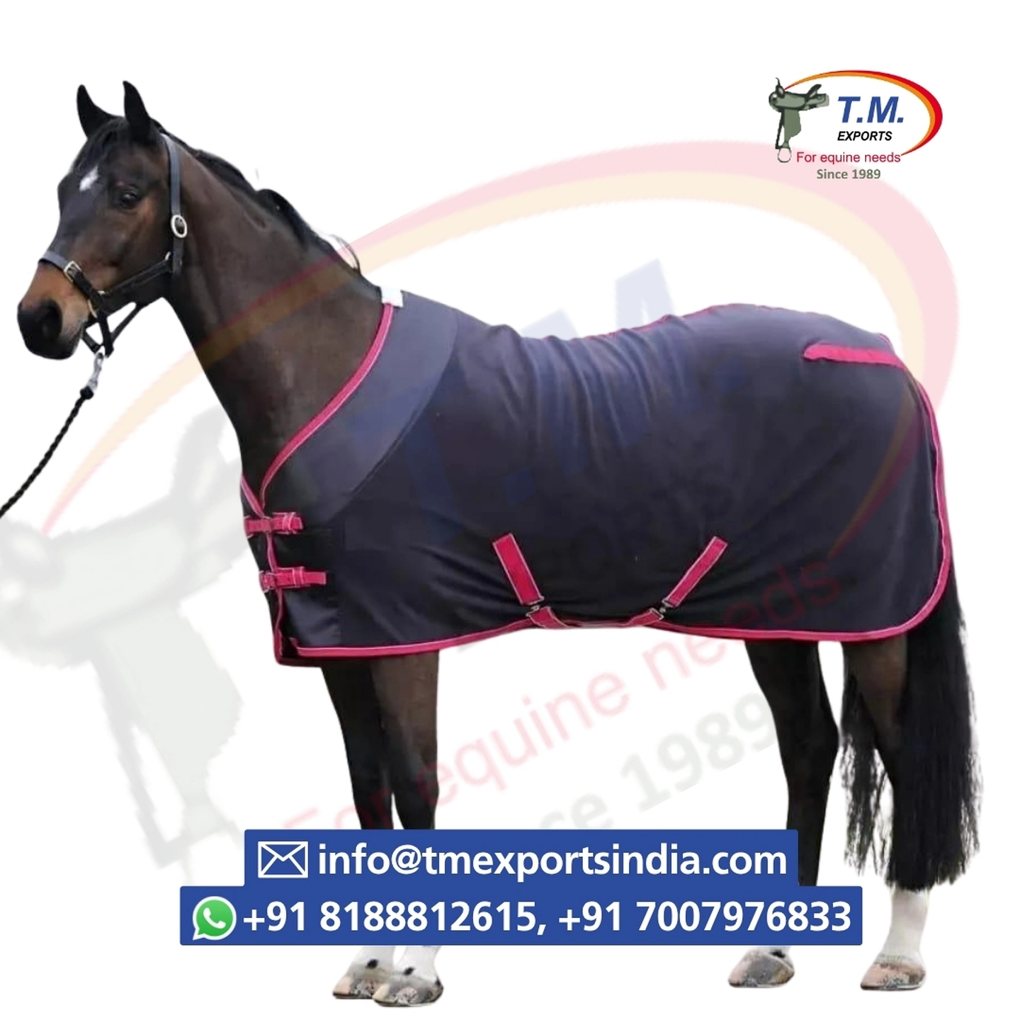 Navy Turnout Rug with Pink Trim