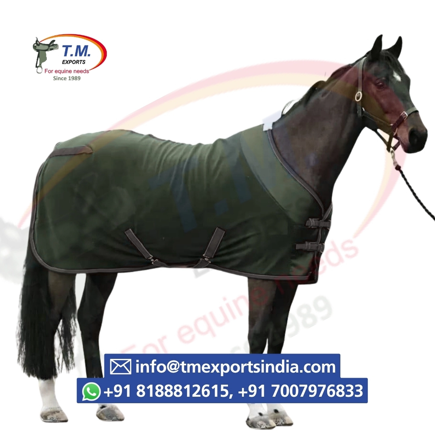 Olive Green Turnout Rug with Neck
