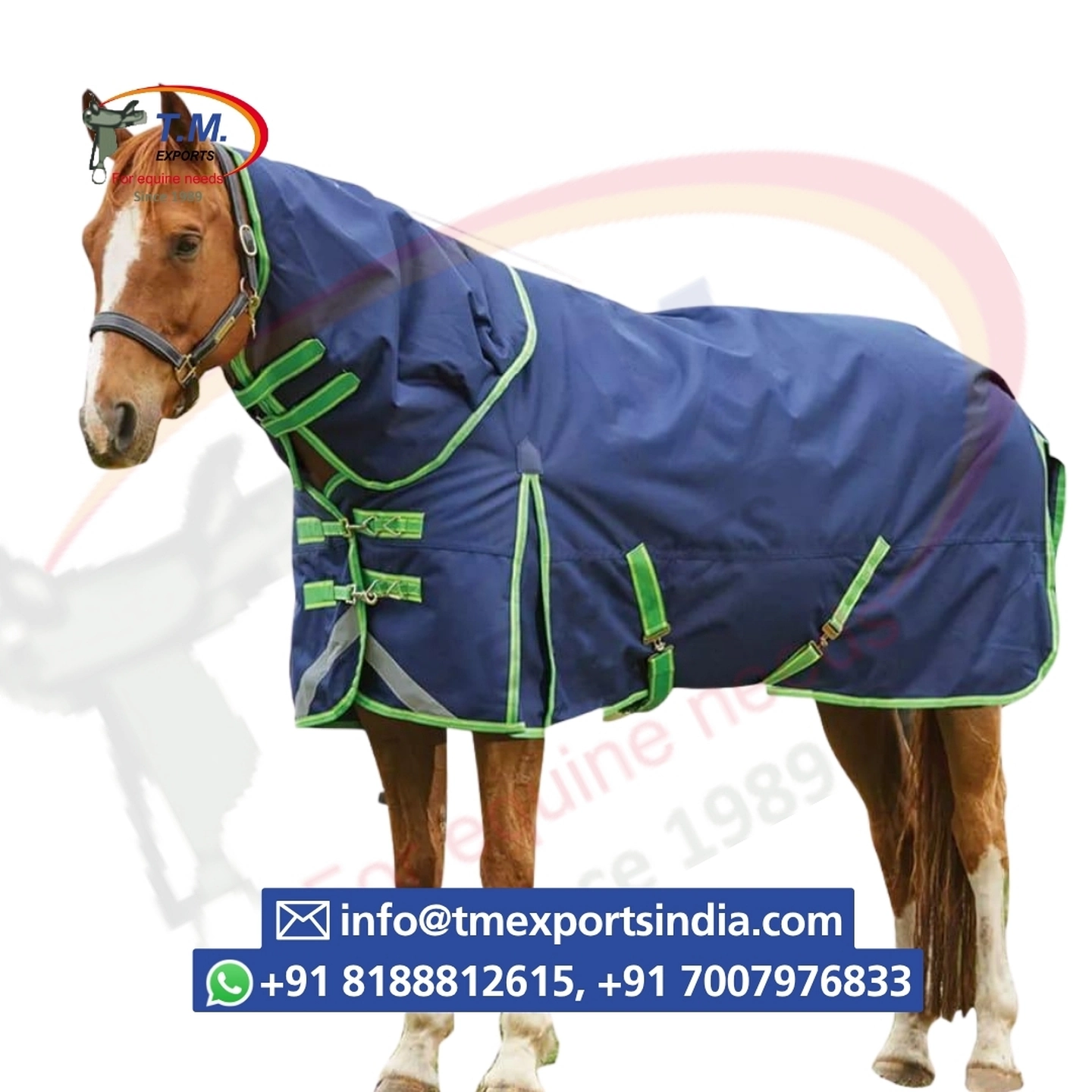 Blue Turnout Rug with Green Trim