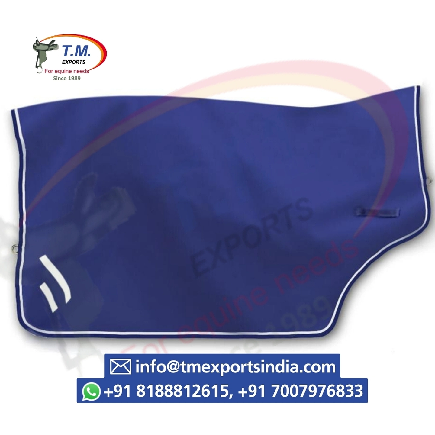 Blue Horse Exercise Quarter Sheet