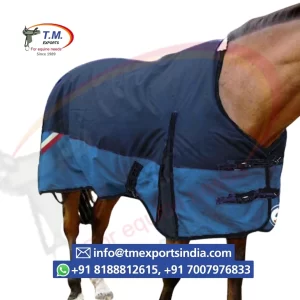 Blue Horse Exercise Sheet with Contrast Panel