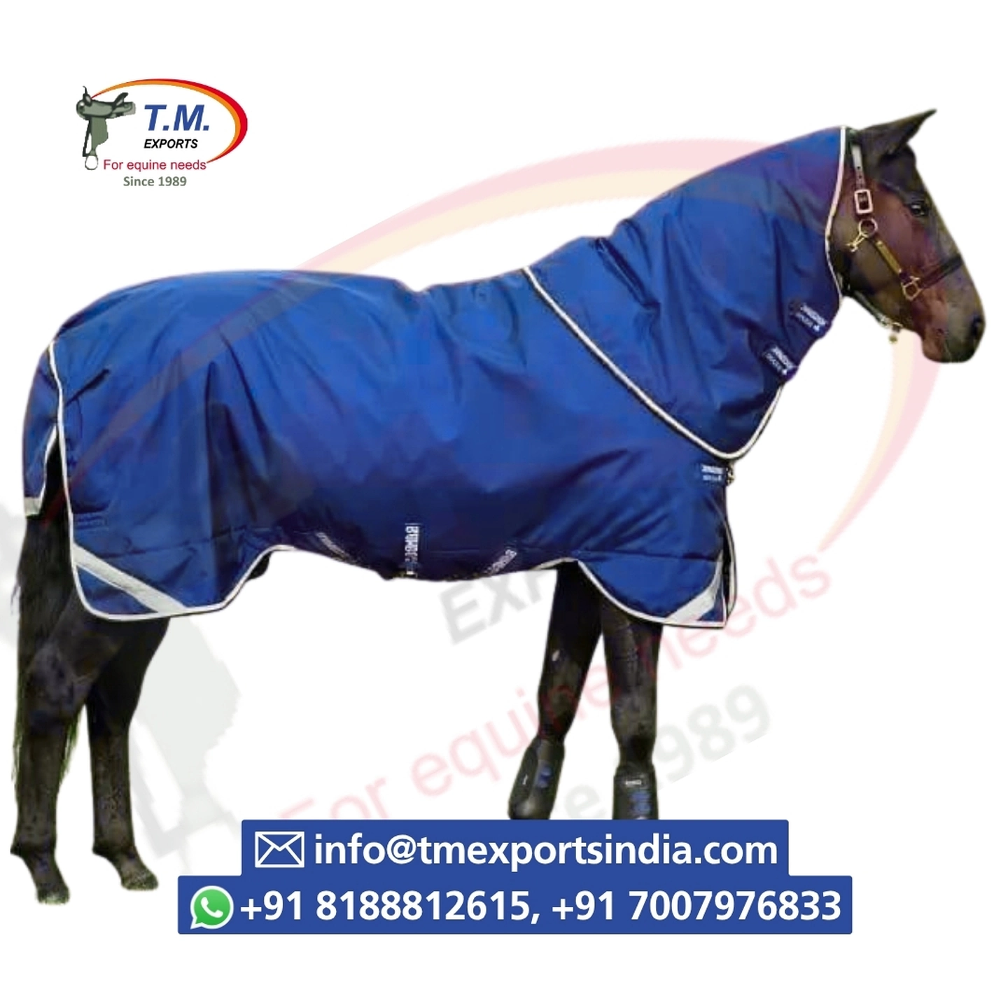 Royal Blue Turnout Rug with Neck