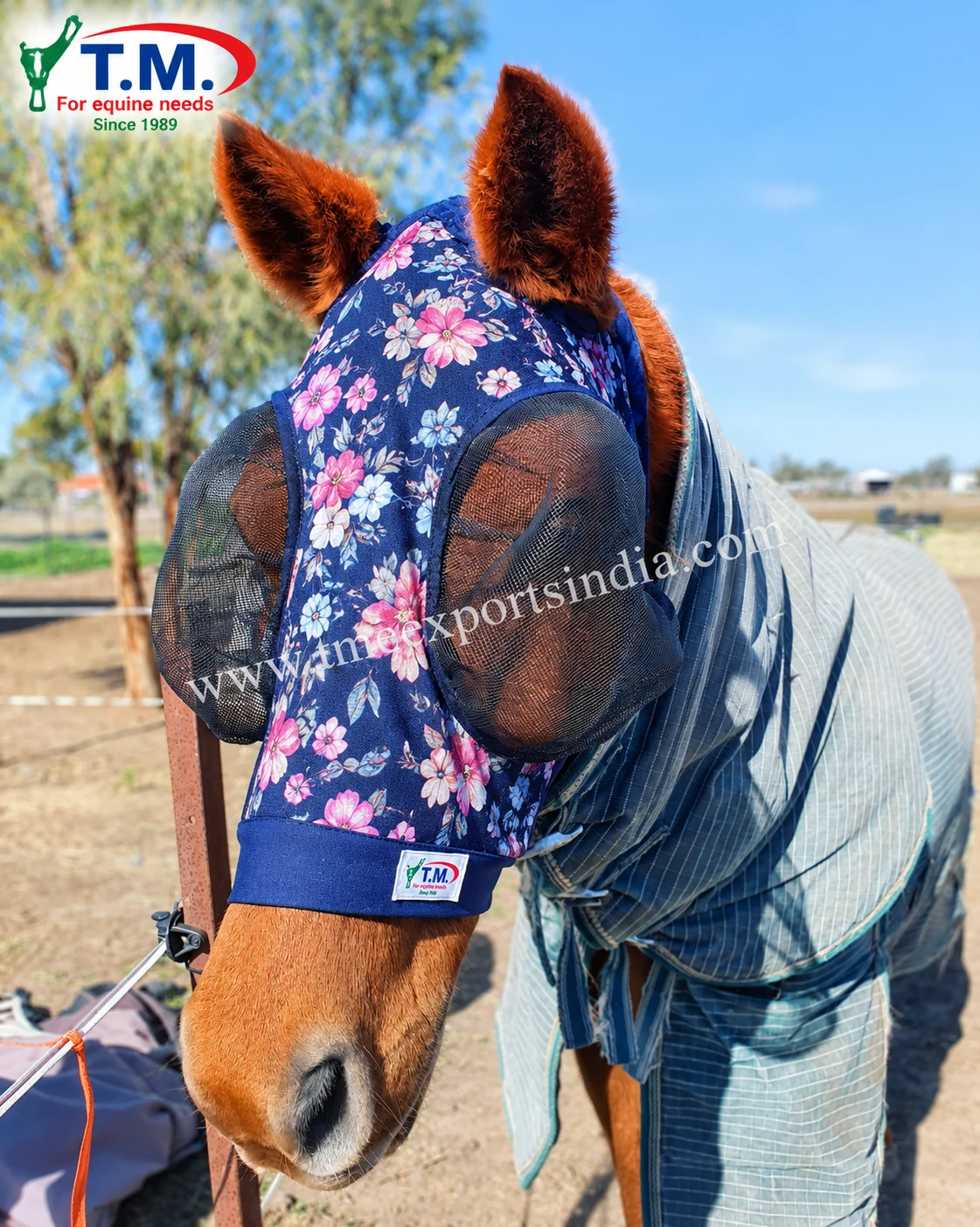 Horse wearing navy floral fly mask with pink flowers and raised black mesh eye cups, article TM-FM-003